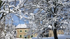 A stone building with green shutters, surrounded by snow-covered trees.