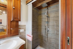 Shower, hair dryer, towels