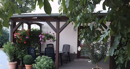 Guesthouse 'Holiday Home Near MĂŒritz Shore' with Private Terrace, Garden & Wi-Fi