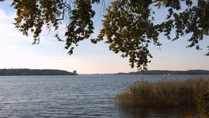 A calm lake with a wooden dock and overhanging branches.