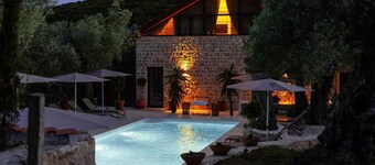 MASHTRA - The Olive House