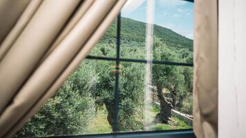 ๋๋ญ์ค ์ค์ํธ, ํ์ฌ์ด๋ | ๋ด๋ถ