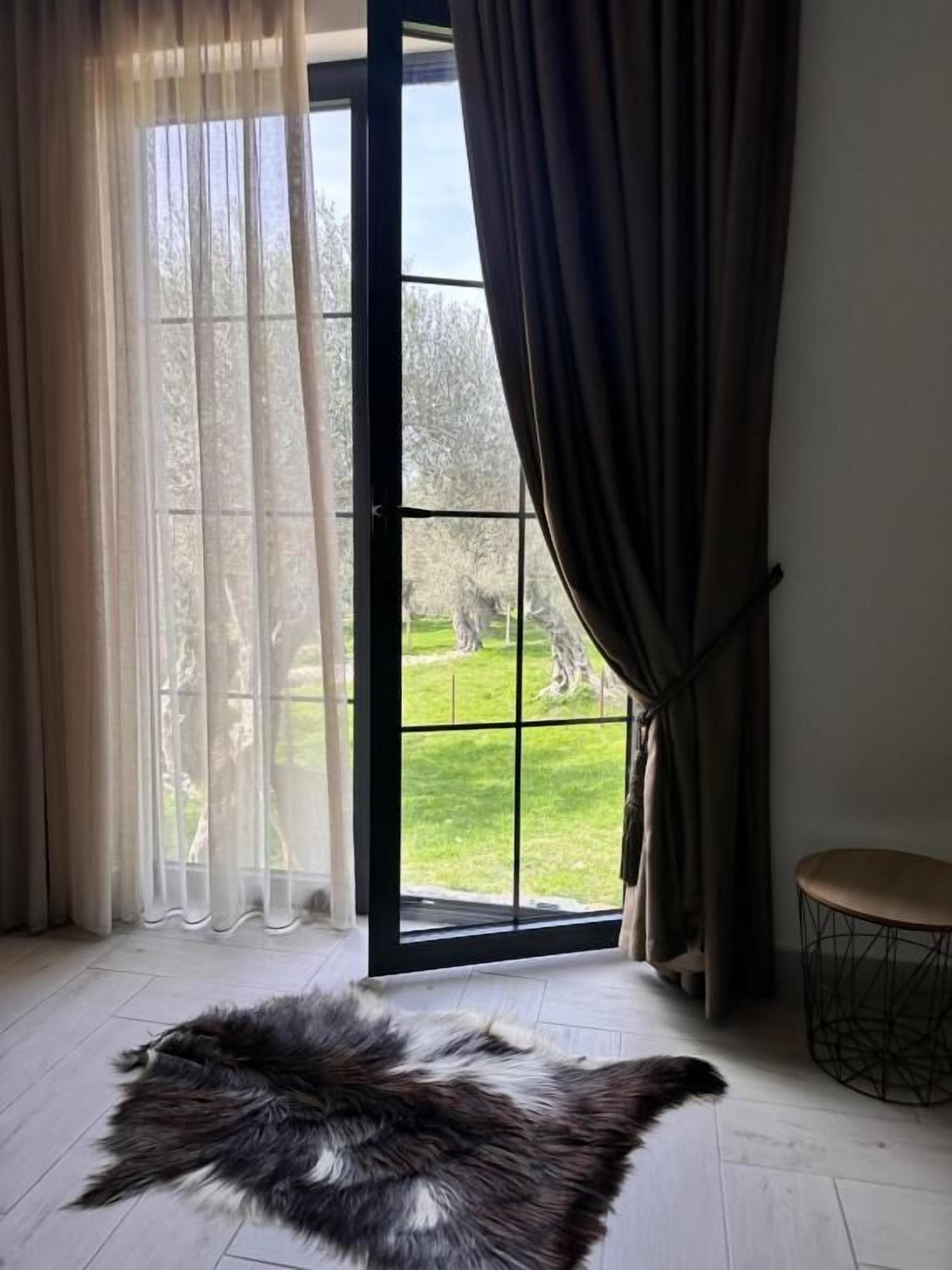 A room with a fur rug, a chair, and a view of a green outdoor area through a glass door.