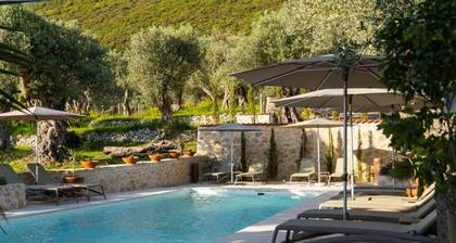 MASHTRA - The Olive House