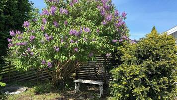 Kamar, 1 kamar tidur | Halaman properti