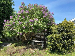 Room, 1 Bedroom | Property grounds