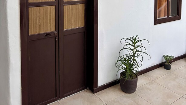 Un corridoio con una porta in legno dotata di pannelli di vetro, un quadro appeso al muro e piante in vaso.