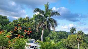 Kabin, 2 kamar tidur, Boleh Merokok, kolam renang pribadi | Halaman properti