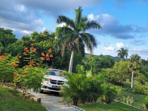 Cabin, 2 Bedrooms, Smoking, Private Pool | Property grounds - Valley View, Damajagua, Playateco, Jacuzzi, Camp (Puerto Plata)