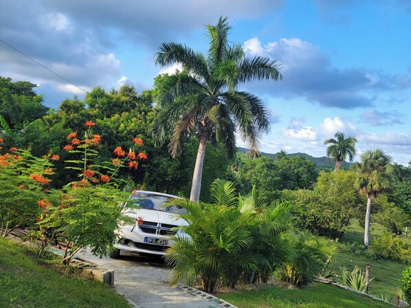 Cabin, 2 Bedrooms, Smoking, Private Pool | Property grounds