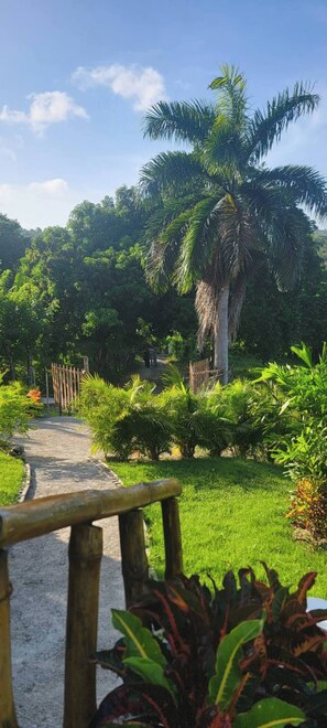 Cabin, 2 Bedrooms, Smoking, Private Pool | Property grounds - Valley View, Damajagua, Playateco, Jacuzzi, Camp (Puerto Plata)