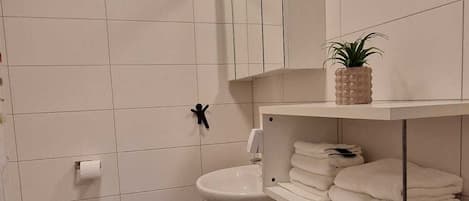 Shower, towels, toilet paper
