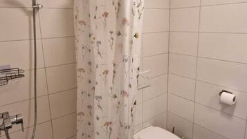 Shower, towels, toilet paper