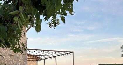 Maison rénovée avec piscine sur 2ha dans le Quercy, Animaux acceptés !