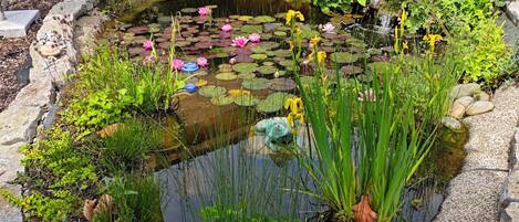 Terrain de lâhĂ©bergement