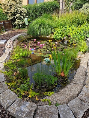 Un estanque de jardín con nenúfares y diversas plantas, rodeado de un borde de piedra.