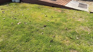 Terras