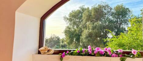 Ein Zimmer mit Fenster, Bücherregalen und Blick auf Bäume.
