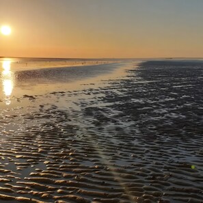Une plage avec du sable humide et une mer calme.