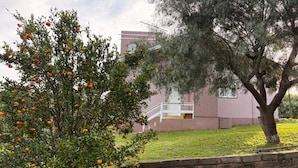 A building with a stone retaining wall, a tree with orange fruit, and a grassy lawn.