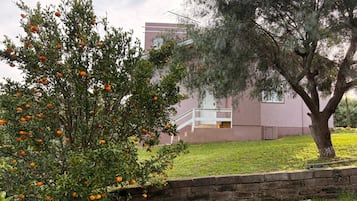 Udendørsområde