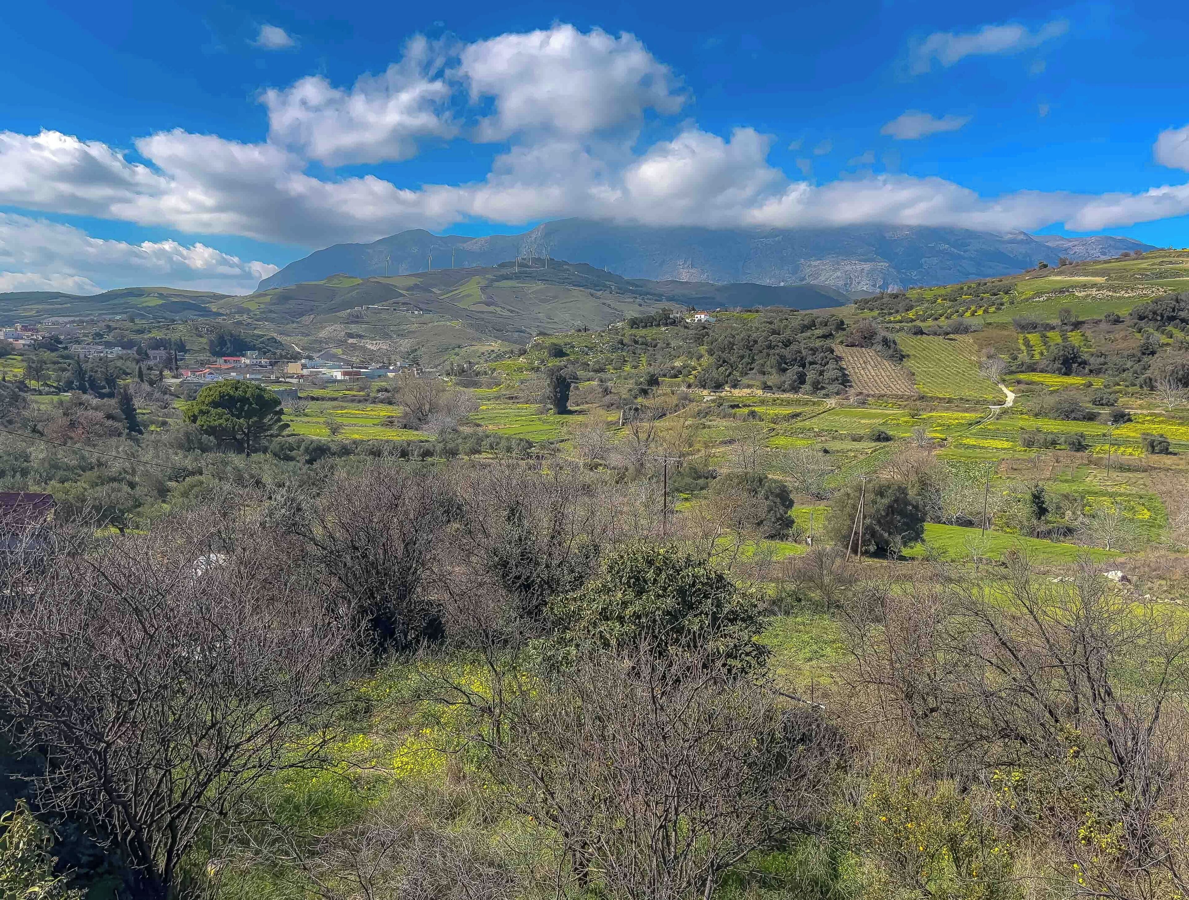 A rural landscape with rolling hills, scattered trees, and a clear sky.