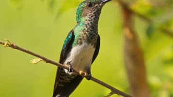 Land view from property