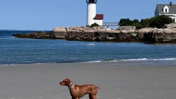 Beach - BRAND NEW, Complete renovation: 4-Bedroom, 3.5 Bath, private Annisquam Gem! (Gloucester)