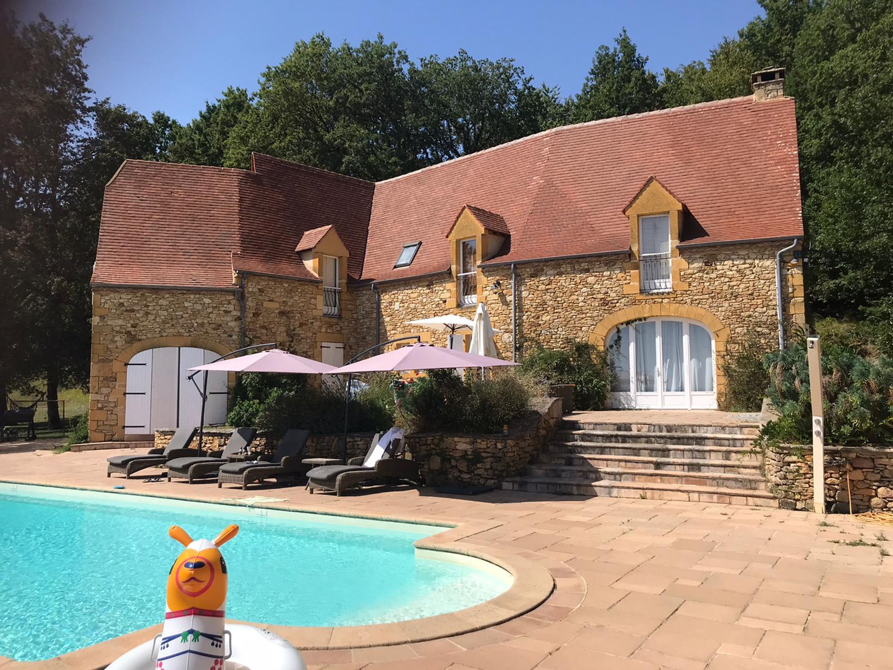 A stone building with a swimming pool, outdoor seating, and a decorative dog float.