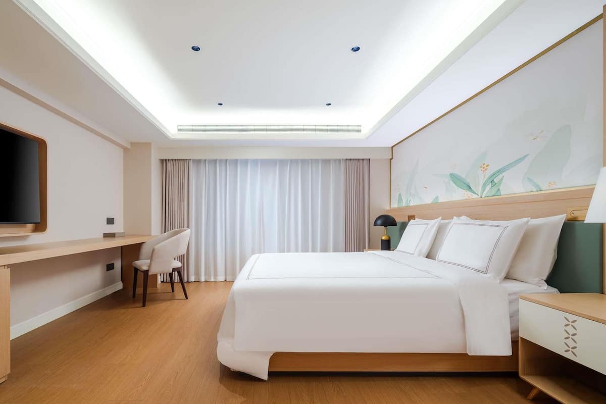 Room, 1 King Bed