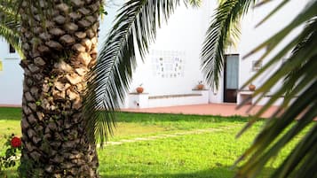 Studio Besar | Pemandangan taman