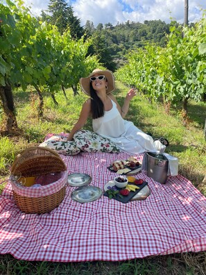 Exterior - Private Douro - Quinta das Susandas (Baiao)