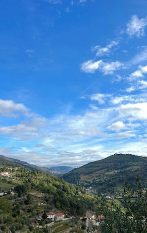 Deluxe Double Room, Balcony, Pool View | Miscellaneous