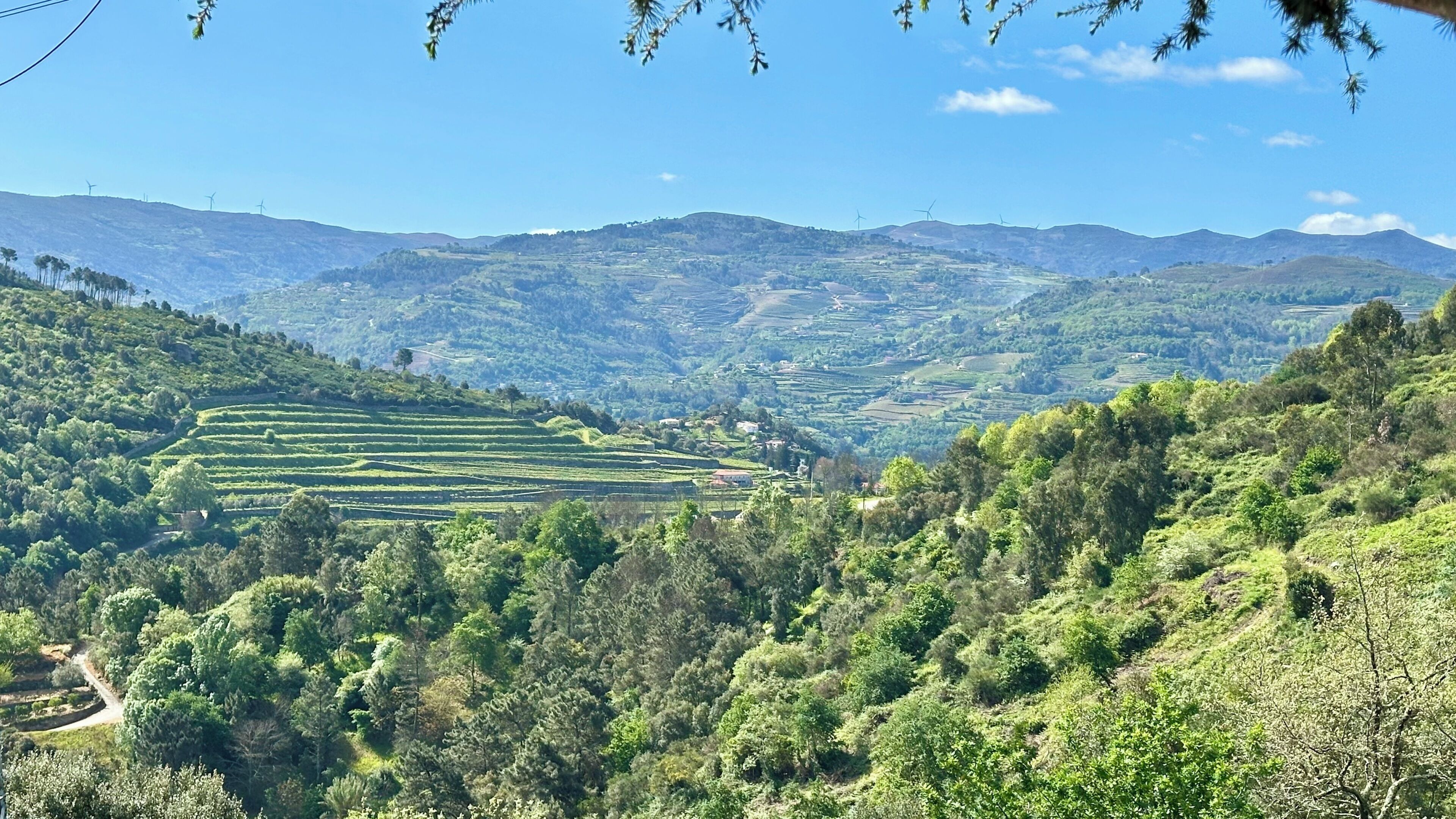 A mountainous landscape with terraced fields and wind turbines in the distance.