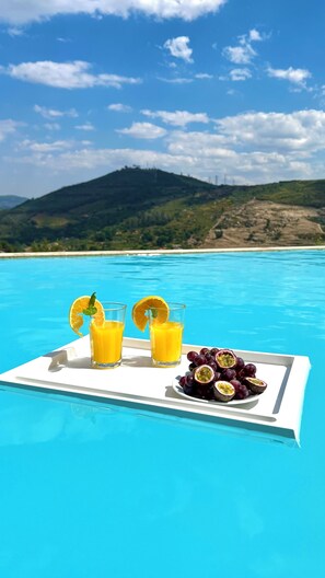 Pool - Private Douro - Quinta das Susandas (Baiao)