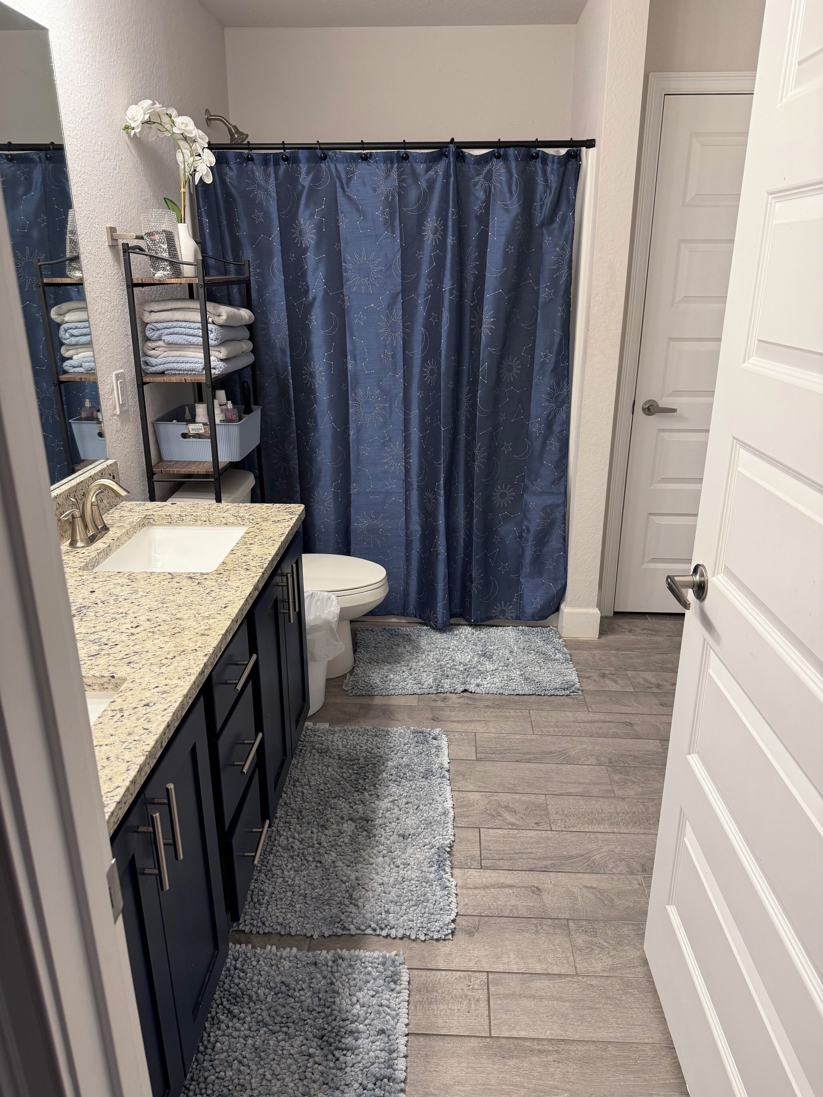Hair dryer, towels, soap, toilet paper