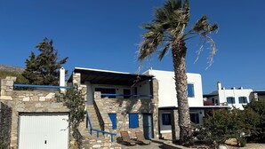 Un bâtiment en pierre avec des volets bleus, un garage blanc et un palmier.