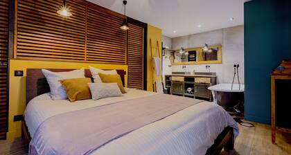 Modern loft - Nice - With parking - Air conditioning -Garden