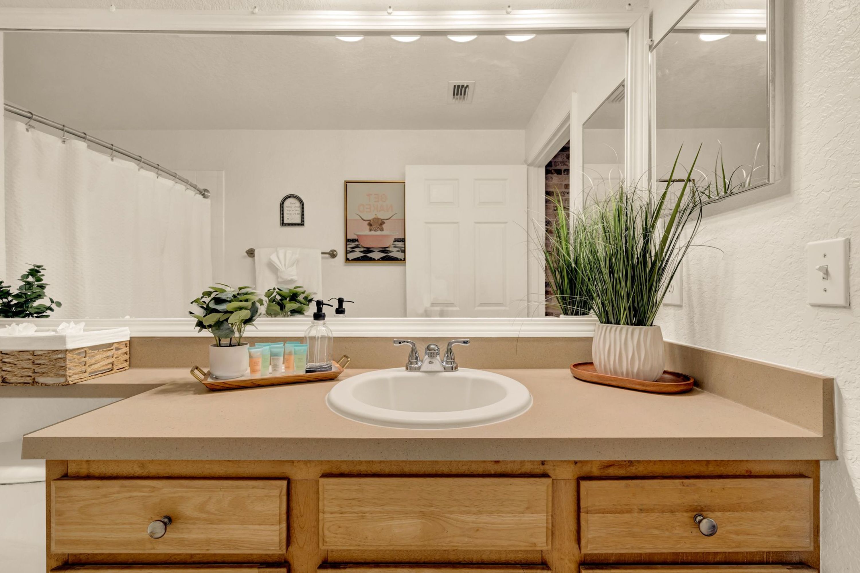 A bathroom with a beige countertop, a white sink, wooden cabinets, a mirror, and a potted plant.