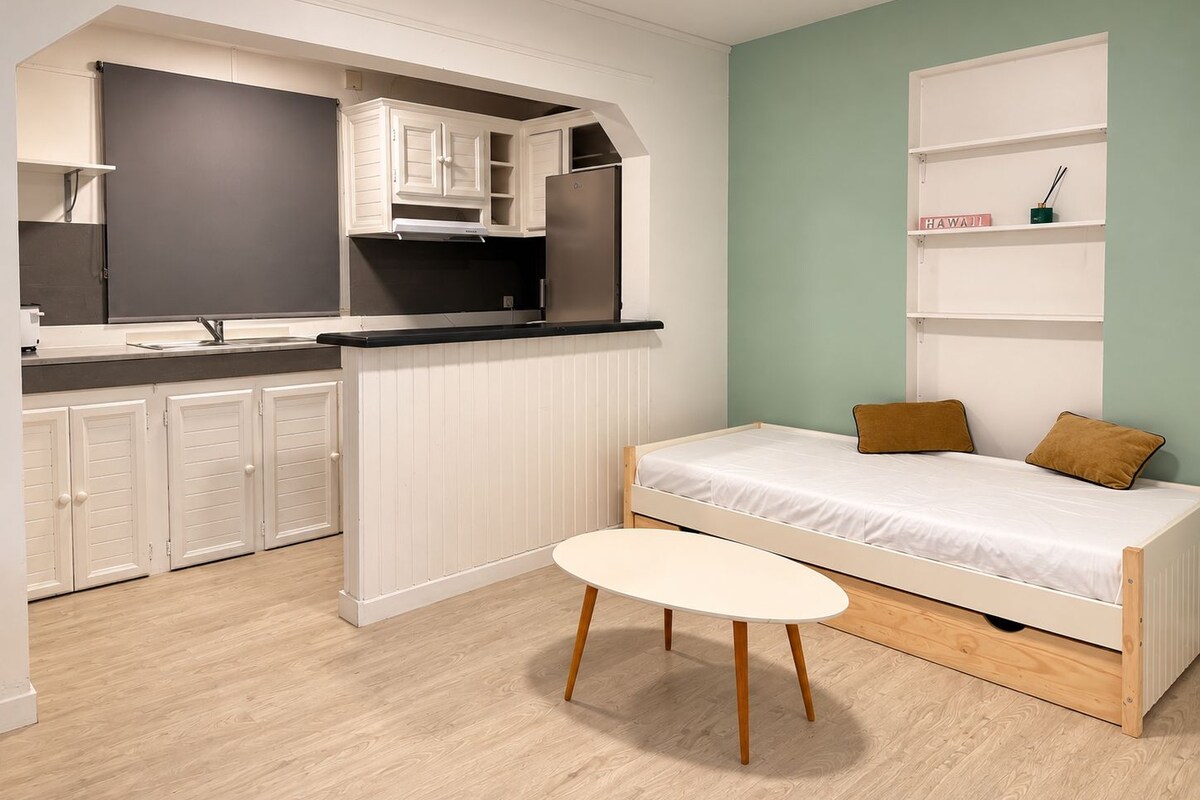 Appartement, 1 lit double et 1 canapé-lit | Accès au Wi-Fi (inclus)
