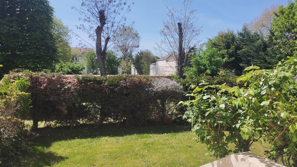 A grassy area with a stone wall, trees, and a building in the background. - CHATOU CITY CENTER (Chatou)