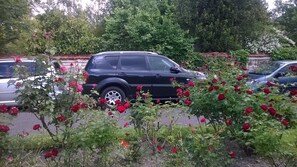 Property grounds - CHATOU CITY CENTER (Chatou)