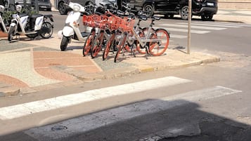 Suíte estúdio | Área da propriedade