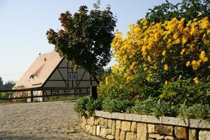 Property grounds - Cat house apartment 2 (Dresden)