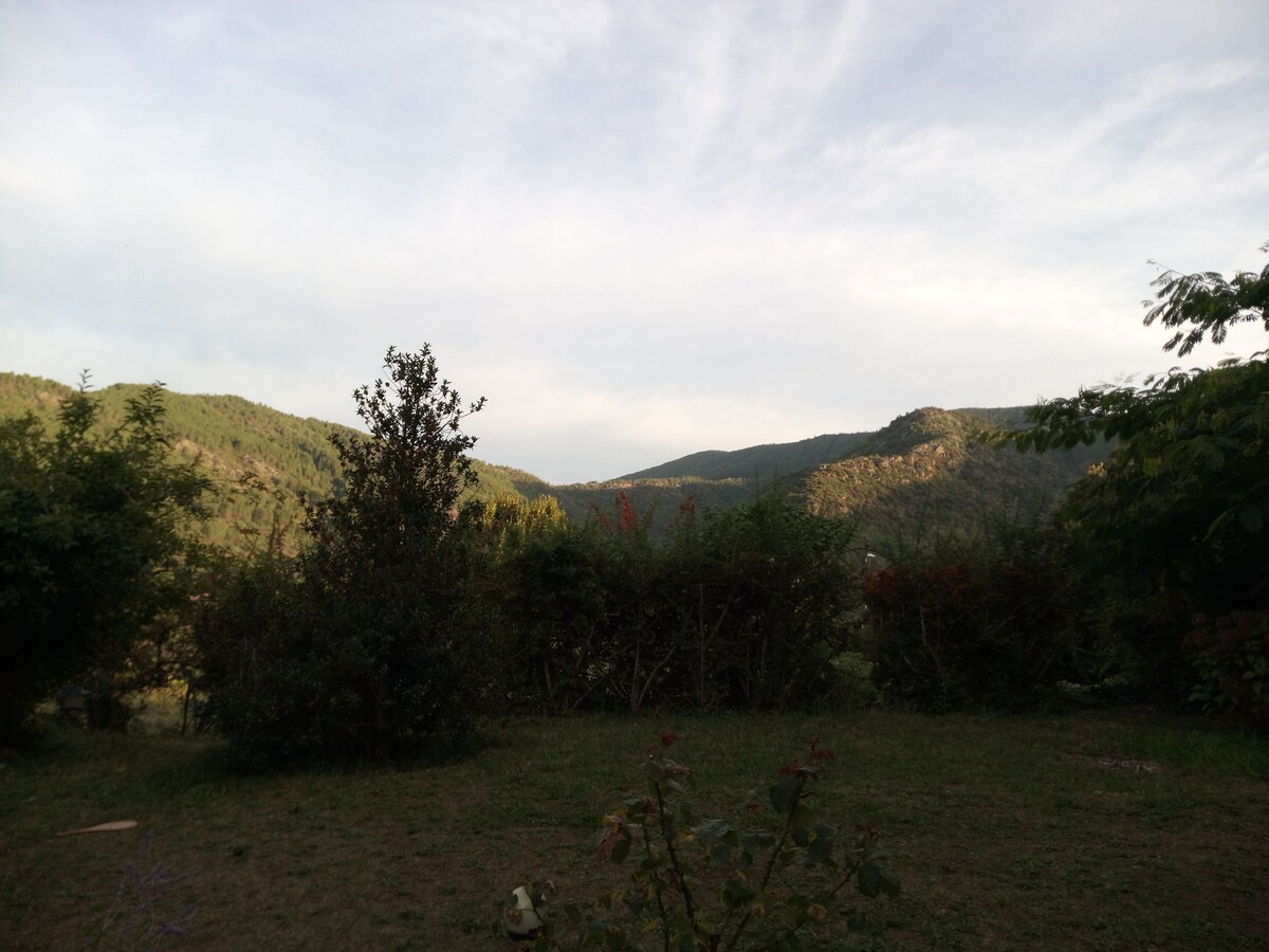 Image de profil de l’hôte