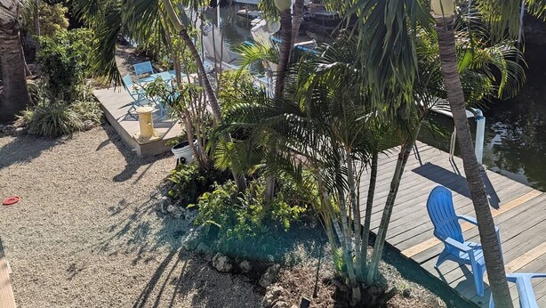 Area tropicale all'aperto con palme, un molo e sedie blu.