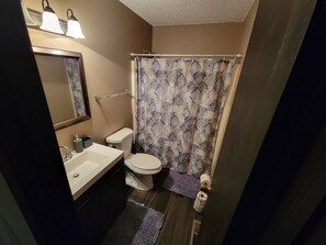 Shower, hair dryer, towels, soap - 3-bedroom townhome in adorable Kansas City with AC (Kansas City)