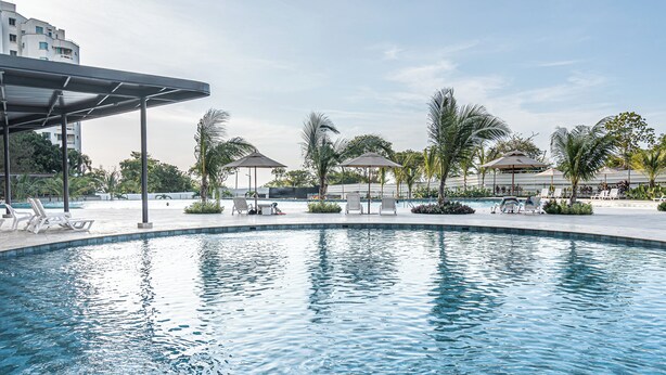 Una piscina con sillas de descanso y sombrillas, rodeada de palmeras y un edificio al fondo.