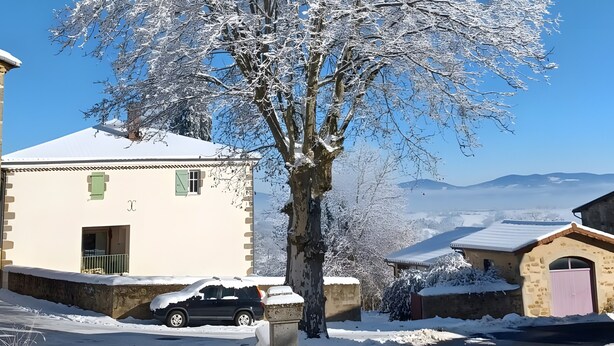 Un albero innevato di fronte a un edificio, con un'auto parcheggiata nelle vicinanze.