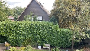 A residential garden with a well-maintained hedge, a lawn, and a small bench.